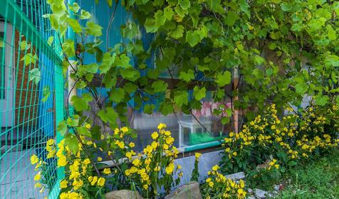 Коттедж Летний, Туапсинский район, п. Небуг