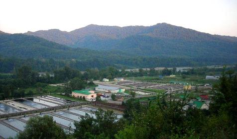 Поселок Казачий брод, Адлерский р-н