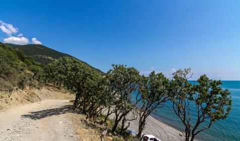 Малый Утриш, г. Анапа