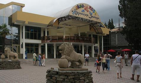 Аквапарк развлекательного центра Морская звезда, г. Сочи, п. Лазаревское