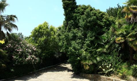 Пансионат Самшит, г. Сочи, Хостинский район.