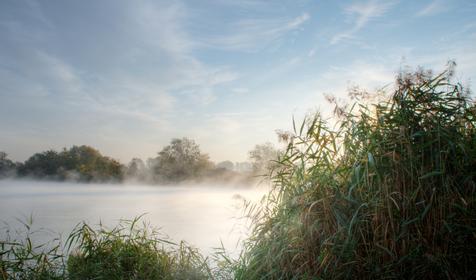 Солнечный остров