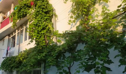 Частный дом Отдых у Любы, г. Сочи, Адлер