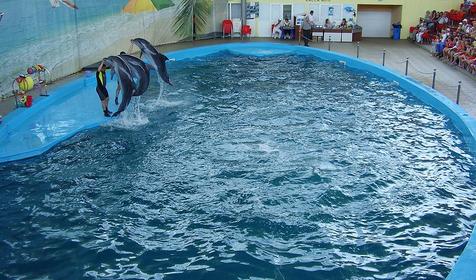 Дельфинарий развлекательного центра Морская звезда, г. Сочи, п. Лазаревское