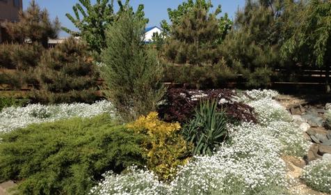 Гостевой дом Бугазская коса, Темрюкский район, п. Веселовка