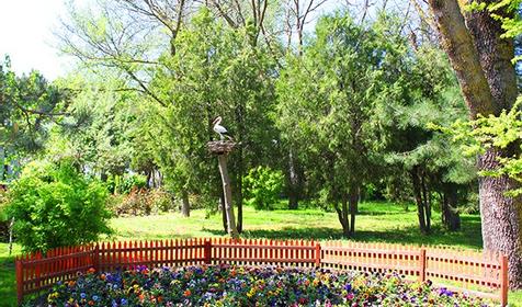 Санаторий Маяк, Анапа