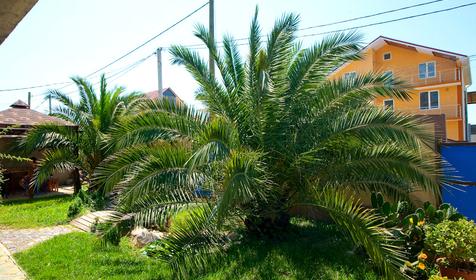 Гостевой дом Мелисса, г. Сочи, Адлерский р-н, с. Веселое