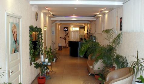 Холл, мини-отель Афалина, г. Сочи, Лазаревский район, п. Лазаревское