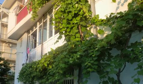 Частный дом Отдых у Любы, г. Сочи, Адлер