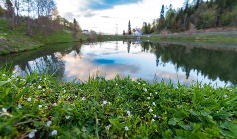 Плато Лаго-Наки