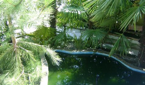 Декоративный бассейн во дворе гостевого дома Зеленый дворик, г. Сочи, Адлер
