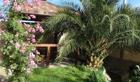 Гостевой дом "Мелисса", г. Сочи, Адлерский р-н, с. Веселое