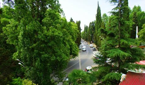 Вид из окна номера. Гостевой дом Валентина, г. Сочи, Хостинский район, п. Хоста