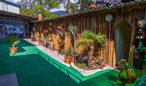 Гостевой дом Волгарь, Сочи, Лоо