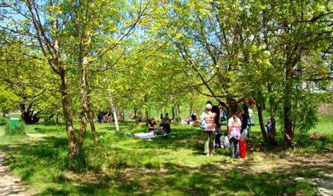 Рождественский парк