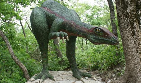 Сафари-парк, Геленджик