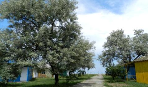 База отдыха Крымчанка, Темрюкский р-н, п. Пересыпь