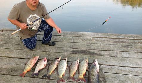 База отдыха Сафаны