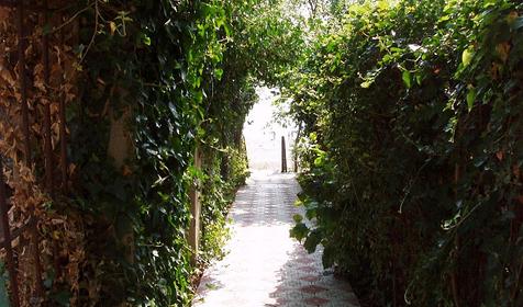 Дорога к пляжу от отеля Орешник, г. Сочи, п. Лазаревское