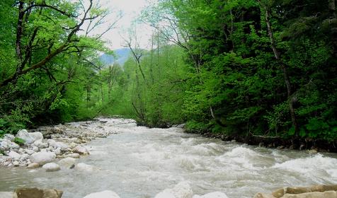 База отдыха Цица, с. Черниговское