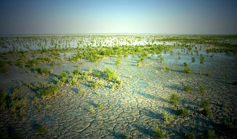 Озеро Ханское. Ейский район