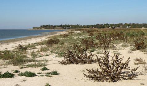 Озеро Ханское. Ейский район