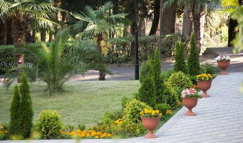 Пансионат Гренада, Лазаревское