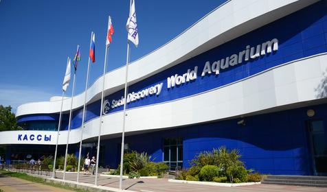 Океанариум Sochi Discovery World Aquarium, г. Сочи