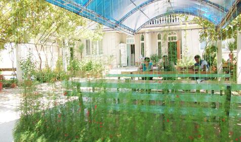 Двор. Гостевой дом Лазурит, Адлер