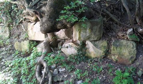 Крепость Никопсия