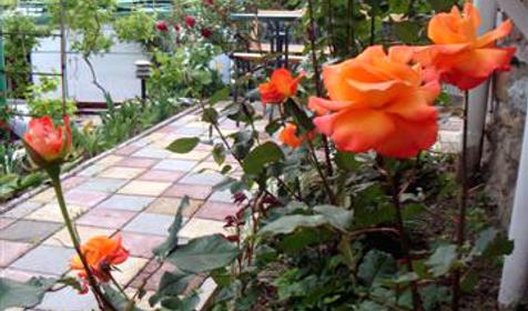 Территория гостевого дома Аквамарин, г. Геленджик, с. Кабардинка