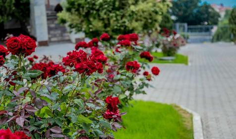 Гостиничный комплекс Елка Hills, Анапа, Сукко