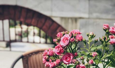 Гостиничный комплекс Елка Hills, Анапа, Сукко