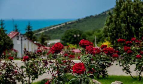Гостиничный комплекс Елка Hills, Анапа, Сукко