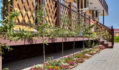 Отель Золотой фазан, Темрюкский район, п. Кучугуры