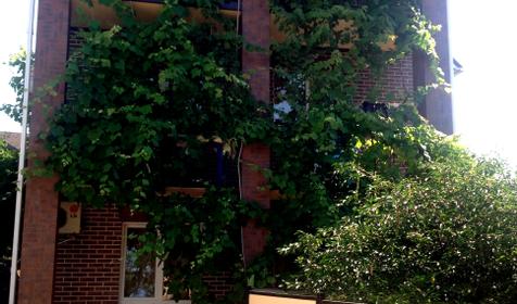 Гостевой дом На Северной, Архипо-Осиповка