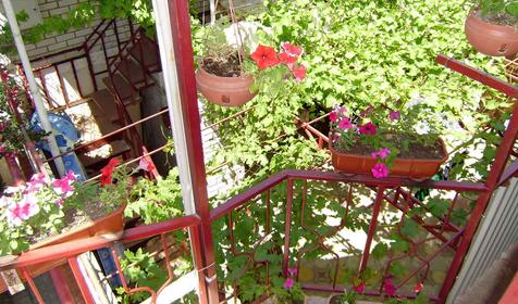 Веранда гостевого дома Диана, г. Анапа