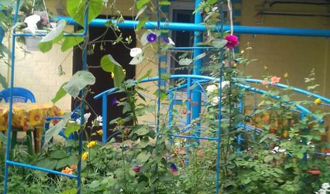 Волшебный сад