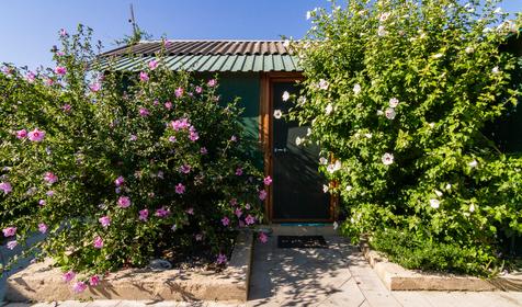 Пятиместный двухкомнатный. Гостевой дом Белая акация, Темрюкский р-н, ст. Голубицкая