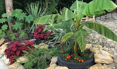 Гостевой дом MoreWood, Туапсинский район, Новомихайловский