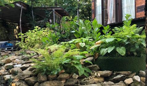 Гостевой дом MoreWood, Туапсинский район, Новомихайловский