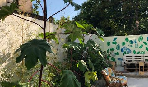 Гостевой дом MoreWood, Туапсинский район, Новомихайловский