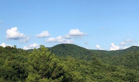 Гостевой дом MoreWood, Туапсинский район, Новомихайловский