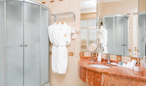 Люкс с террасой двухкомнатный