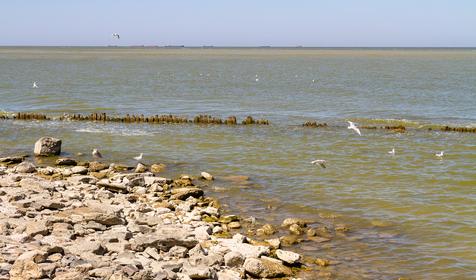 Пляж, г. Ейск