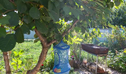 Гостевой дом У Игоря, г. Ейск