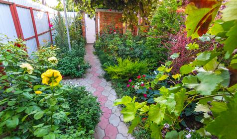 Гостевой дом Свобода. Ейск