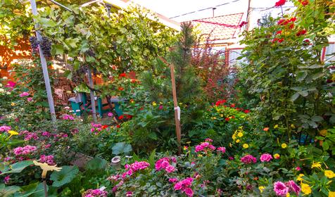 Гостевой дом Свобода. Ейск