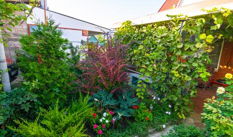 Гостевой дом Свобода. Ейск