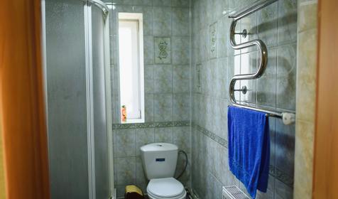 Горная лаванда